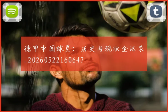 德甲中国球员：历史与现状全记录_20260522160647