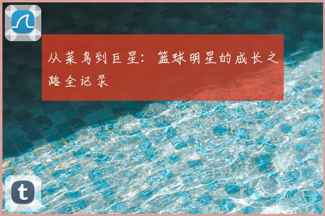 从菜鸟到巨星：篮球明星的成长之路全记录