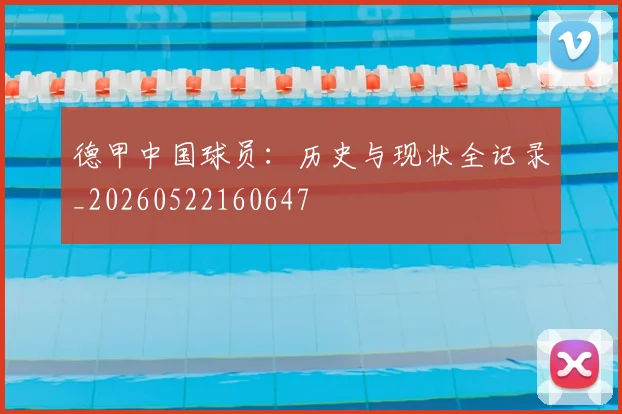 德甲中国球员：历史与现状全记录_20260522160647