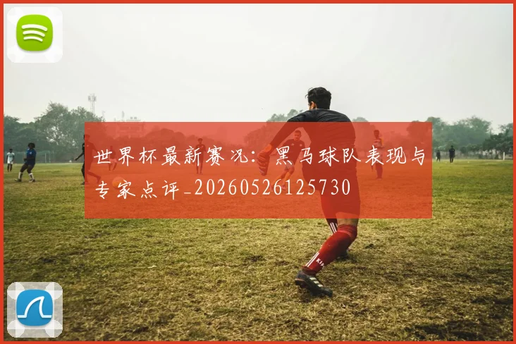 世界杯最新赛况：黑马球队表现与专家点评_20260526125730